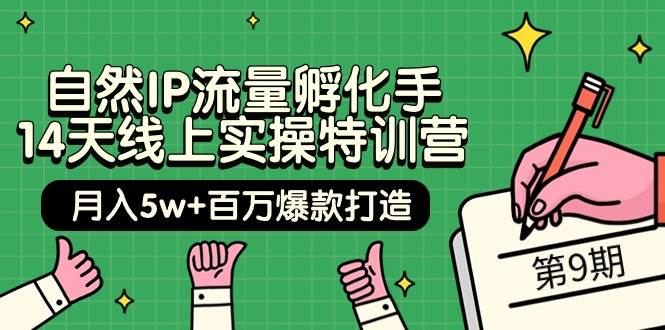 自然IP流量孵化手 14天线上实操特训营【第9期】月入5w+百万爆款打造 (74节)网创吧-网创项目资源站-副业项目-创业项目-搞钱项目创业吧