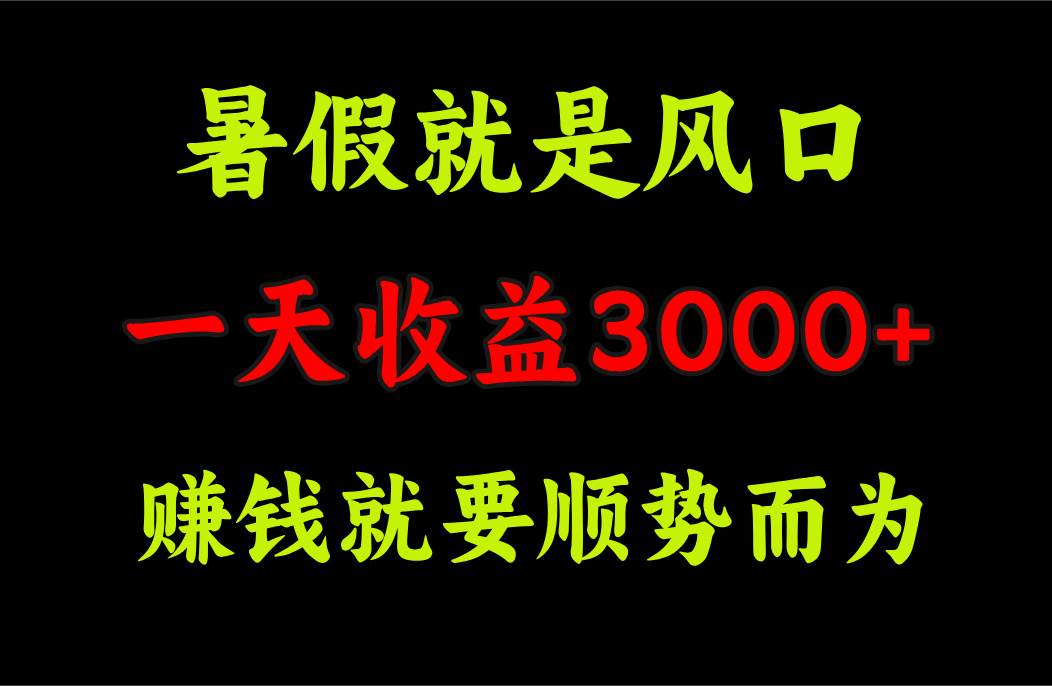 一天收益3000+ 赚钱就是顺势而为，暑假就是风口网创吧-网创项目资源站-副业项目-创业项目-搞钱项目创业吧