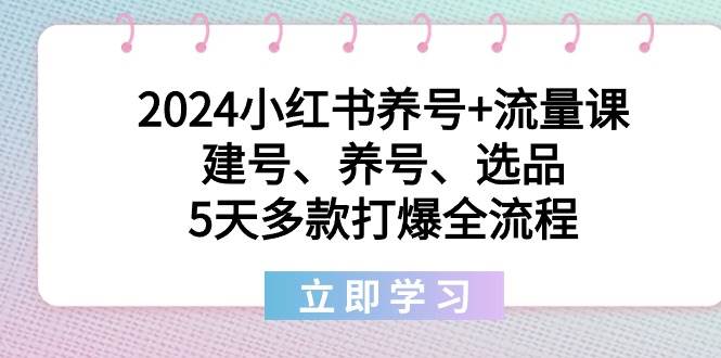 2024小红书养号+流量课：建号、养号、选品，5天多款打爆全流程网创吧-网创项目资源站-副业项目-创业项目-搞钱项目创业吧