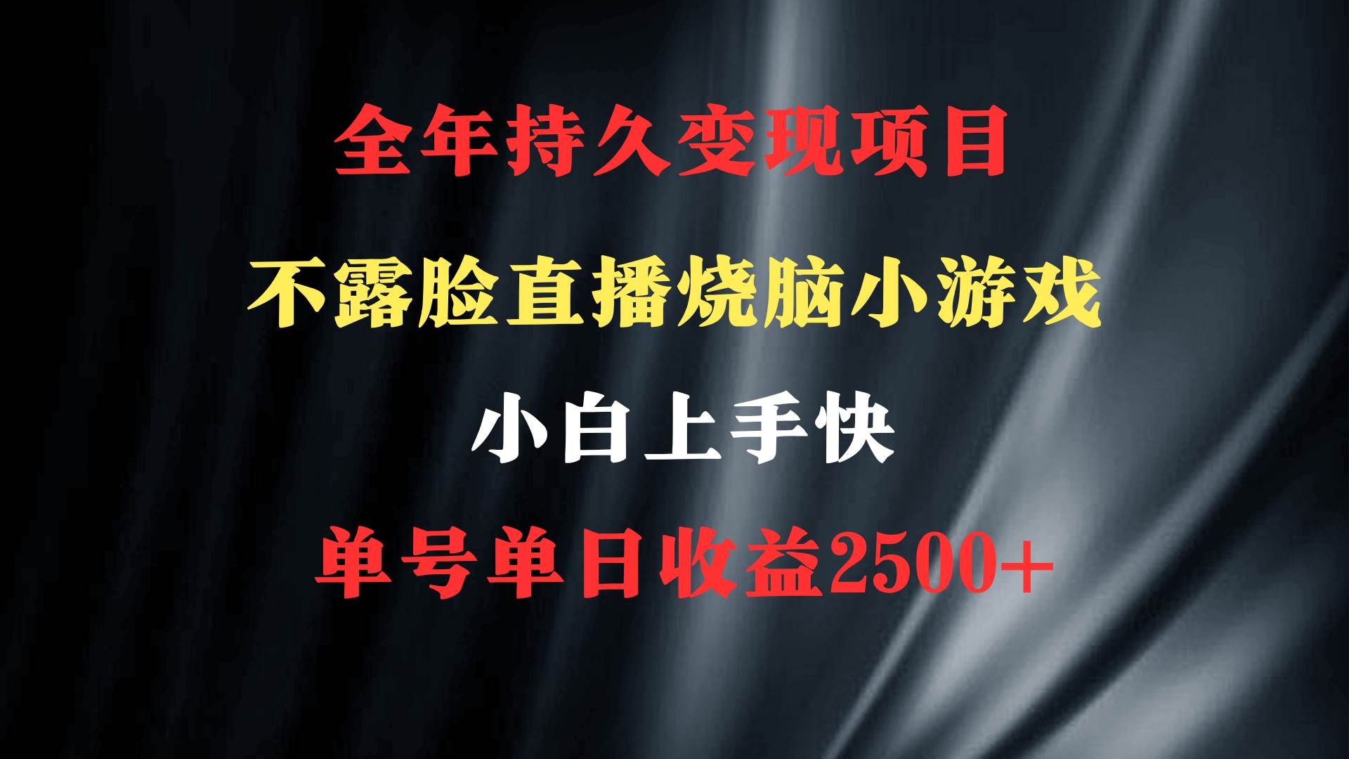 2024年 最优项目，烧脑小游戏不露脸直播  小白上手快 无门槛 一天收益2500+网创吧-网创项目资源站-副业项目-创业项目-搞钱项目创业吧