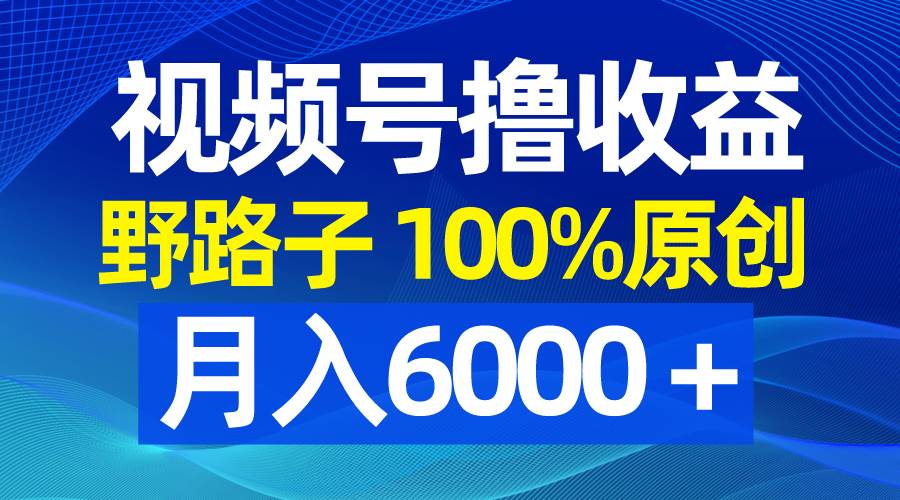 视频号野路子撸收益，100%原创，条条爆款，月入6000＋网创吧-网创项目资源站-副业项目-创业项目-搞钱项目创业吧