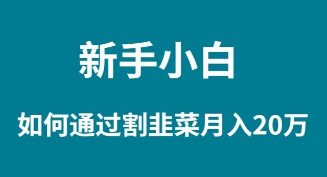 新手小白如何通过割韭菜月入 20W网创吧-网创项目资源站-副业项目-创业项目-搞钱项目创业吧