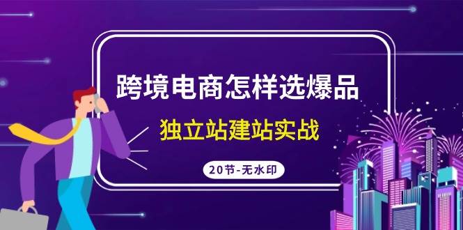 跨境电商怎样选爆品，独立站建站实战（20节高清无水印课）网创吧-网创项目资源站-副业项目-创业项目-搞钱项目创业吧