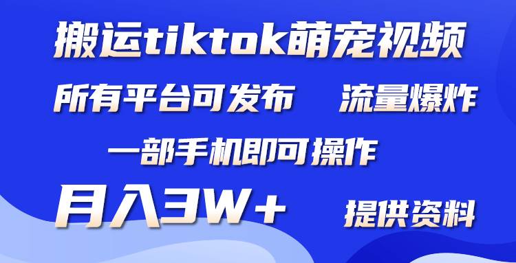 搬运Tiktok萌宠类视频，一部手机即可。所有短视频平台均可操作，月入3W+网创吧-网创项目资源站-副业项目-创业项目-搞钱项目创业吧