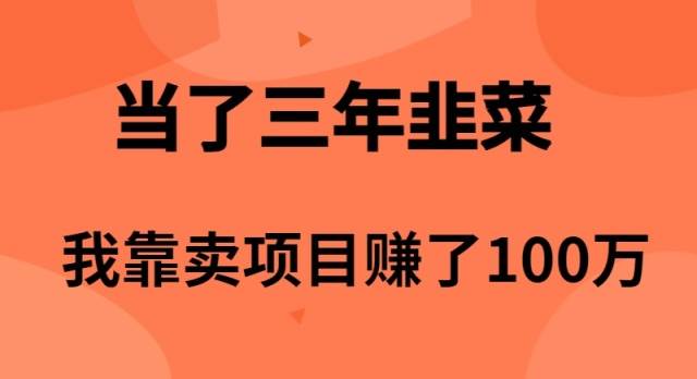 当了3年韭菜，我靠卖项目赚了100万网创吧-网创项目资源站-副业项目-创业项目-搞钱项目创业吧