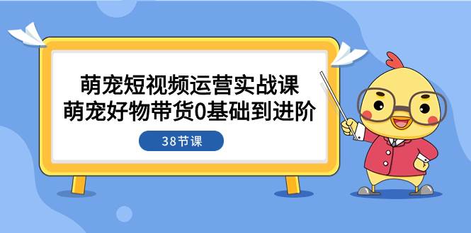 萌宠·短视频运营实战课：萌宠好物带货0基础到进阶（38节课）网创吧-网创项目资源站-副业项目-创业项目-搞钱项目创业吧