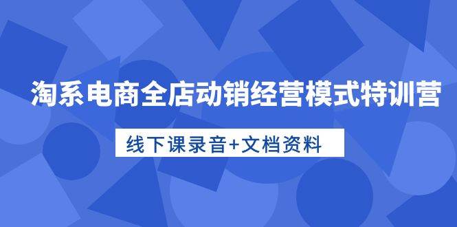 淘系电商全店动销经营模式特训营，线下课录音+文档资料网创吧-网创项目资源站-副业项目-创业项目-搞钱项目创业吧