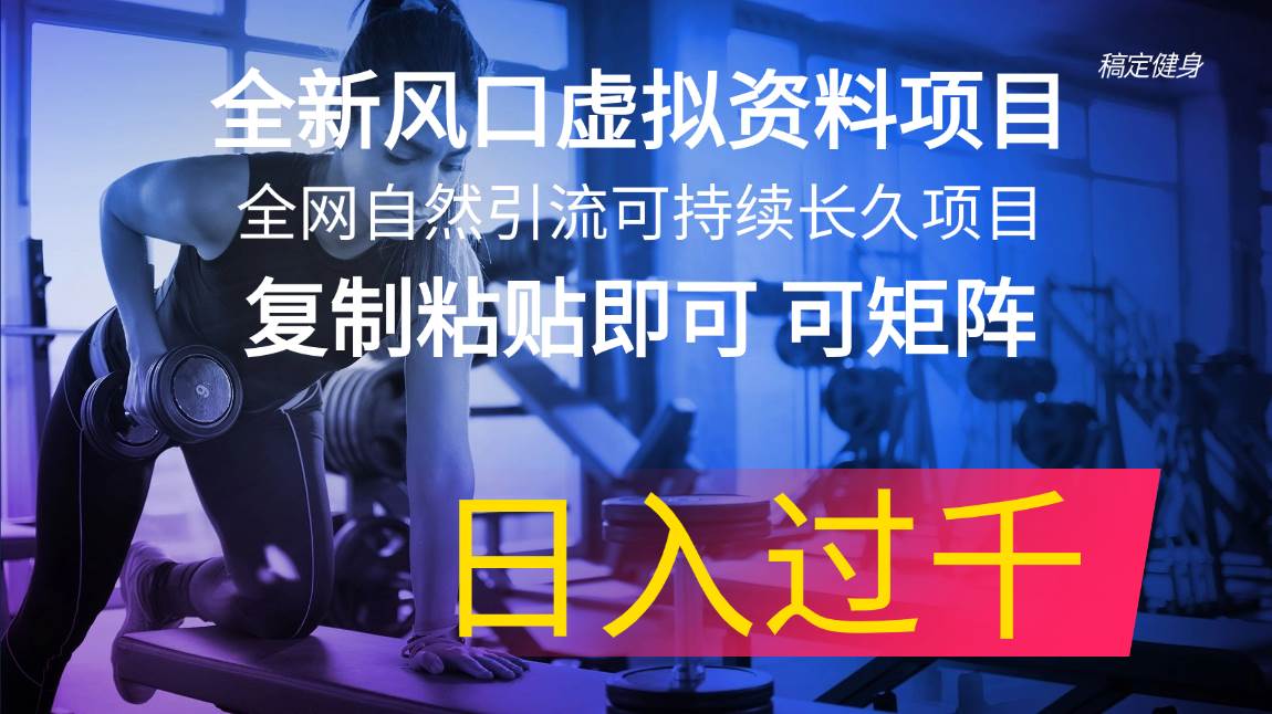 全新风口虚拟资料项目 全网自然引流可持续长久项目 复制粘贴即可可矩阵…网创吧-网创项目资源站-副业项目-创业项目-搞钱项目创业吧