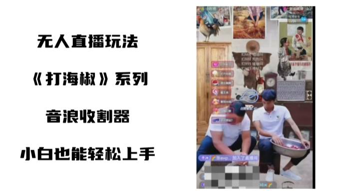 打海椒无人直播整蛊项目，小白轻松上手撸音浪收割器（教程+工具+素材）网创吧-网创项目资源站-副业项目-创业项目-搞钱项目创业吧