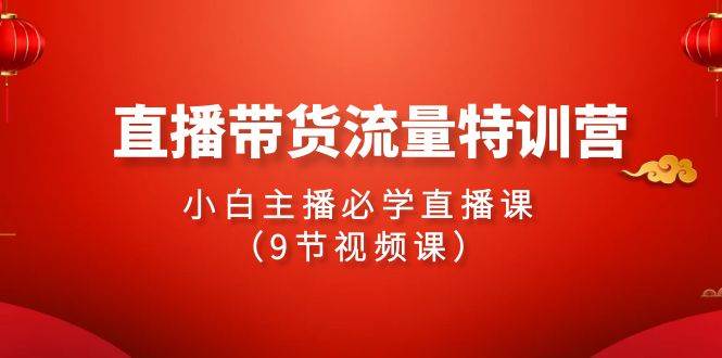 2024直播带货流量特训营，小白主播必学直播课（9节视频课）网创吧-网创项目资源站-副业项目-创业项目-搞钱项目创业吧