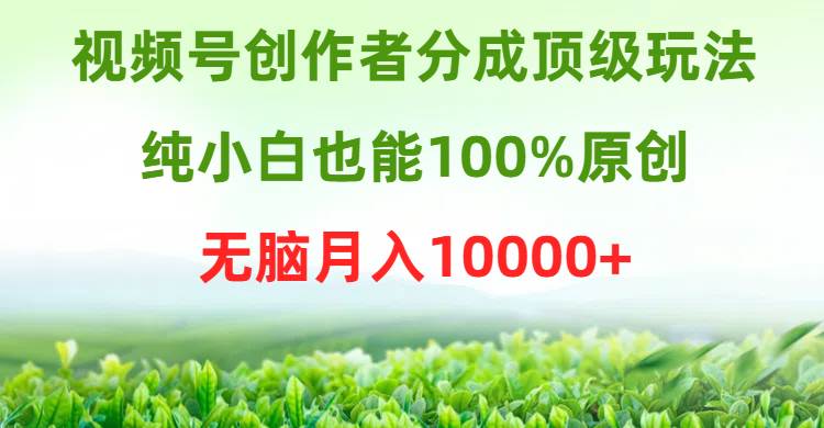 视频号创作者分成顶级玩法，纯小白也能100%原创，无脑月入10000+网创吧-网创项目资源站-副业项目-创业项目-搞钱项目创业吧