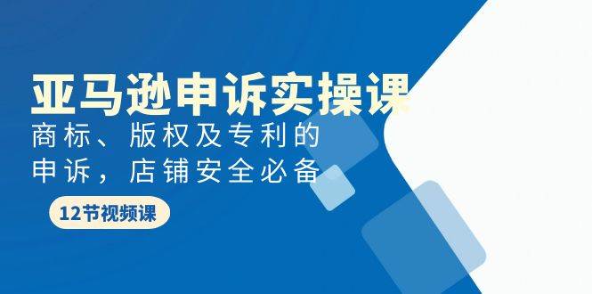 亚马逊-申诉实战课，商标、版权及专利的申诉，店铺安全必备网创吧-网创项目资源站-副业项目-创业项目-搞钱项目创业吧
