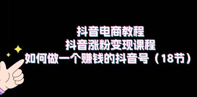 抖音电商教程：抖音涨粉变现课程：如何做一个赚钱的抖音号（18节）网创吧-网创项目资源站-副业项目-创业项目-搞钱项目创业吧