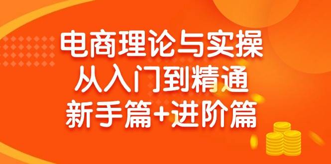 电商理论与实操从入门到精通 新手篇+进阶篇网创吧-网创项目资源站-副业项目-创业项目-搞钱项目创业吧