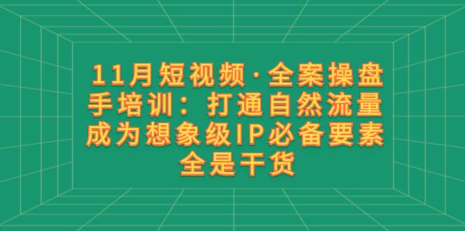11月短视频·全案操盘手培训：打通自然流量 成为想象级IP必备要素 全是干货网创吧-网创项目资源站-副业项目-创业项目-搞钱项目创业吧