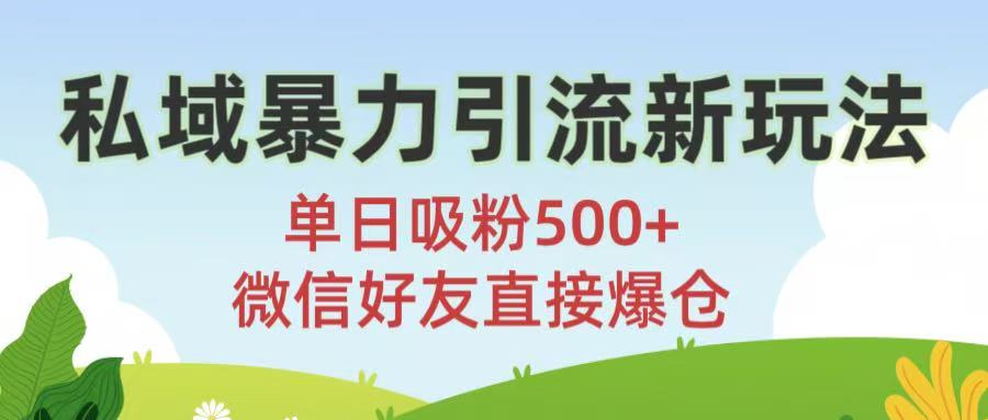 私域暴力引流新玩法!单日吸粉500+，微信好友直接爆仓网创吧-网创项目资源站-副业项目-创业项目-搞钱项目创业吧