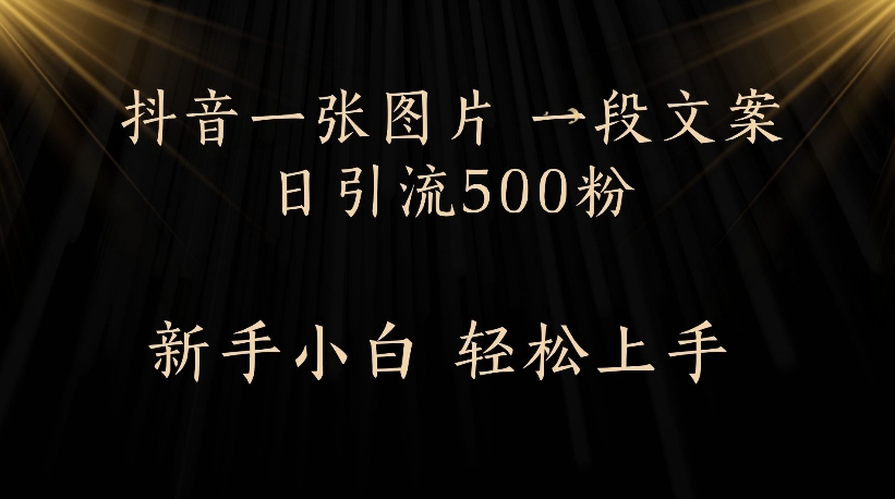 抖音一张图片，一段文案日引流500粉，新手小白 轻松上手网创吧-网创项目资源站-副业项目-创业项目-搞钱项目创业吧