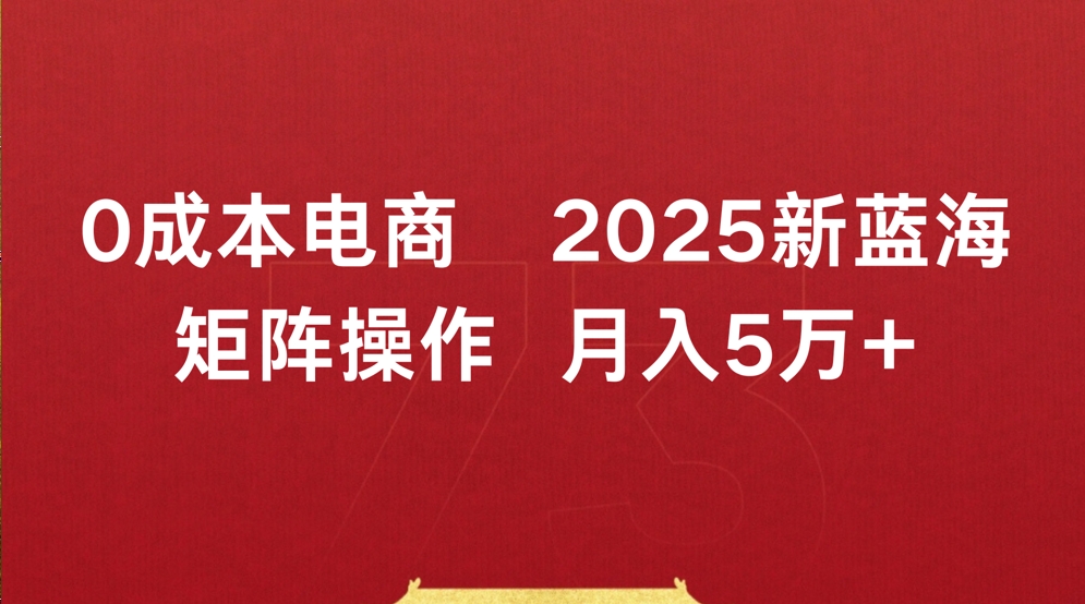 0成本电商2025新蓝海矩阵操作 月入5万+网创吧-网创项目资源站-副业项目-创业项目-搞钱项目创业吧