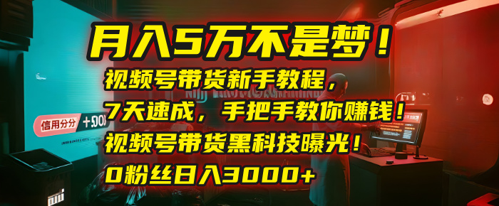 月入5万不是梦！视频号带货新手教程，7天速成，手把手教你赚钱！视频号带货黑科技曝光！0粉丝日入3000+网创吧-网创项目资源站-副业项目-创业项目-搞钱项目创业吧