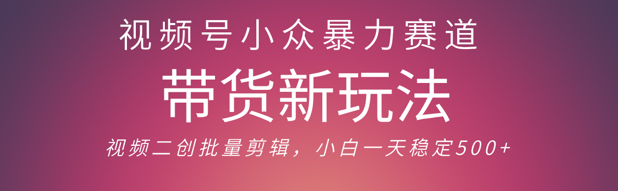 视频号小众暴力赛道，最新带货玩法 小白也能轻松日入500+ 保姆及教程网创吧-网创项目资源站-副业项目-创业项目-搞钱项目创业吧