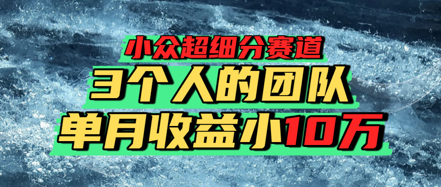 小众超细分赛道，一年百万利润的盘子！网创吧-网创项目资源站-副业项目-创业项目-搞钱项目创业吧