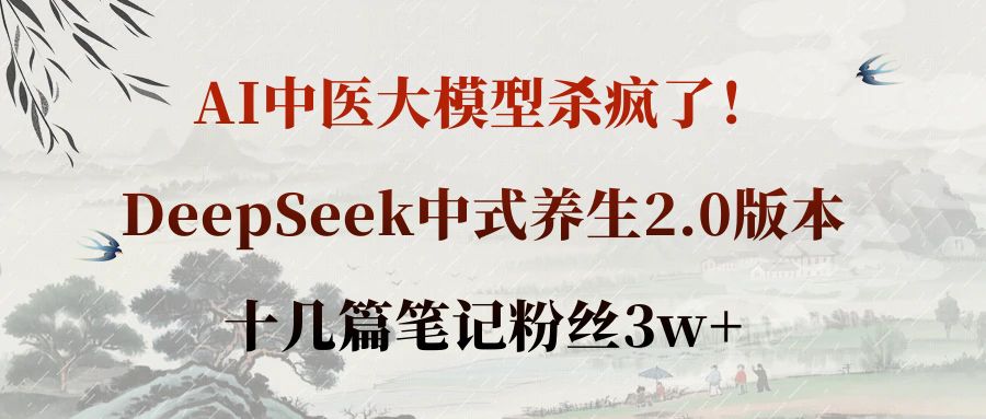 AI中医大模型杀疯了！DeepSeek中式养生2.0版本，十几篇笔记粉丝3w+网创吧-网创项目资源站-副业项目-创业项目-搞钱项目创业吧